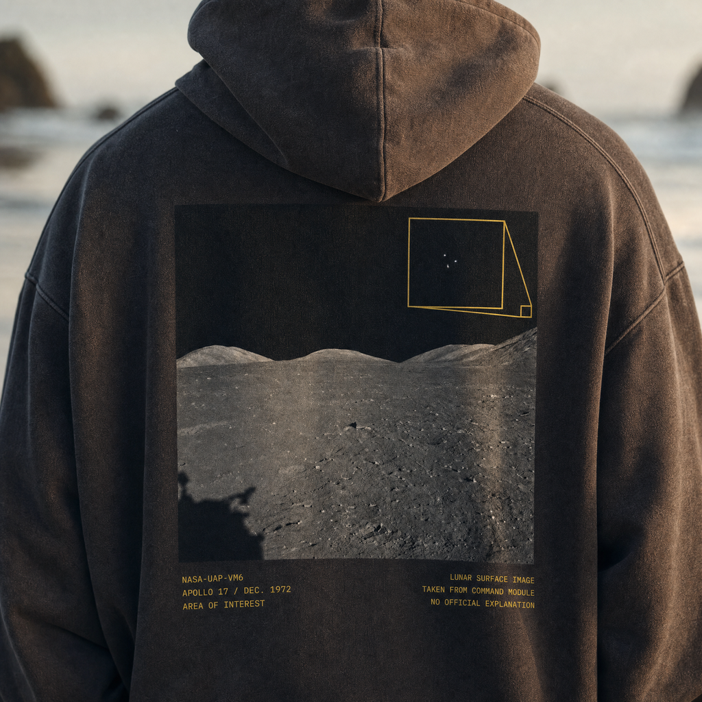 Apollo 17 Hoodie - lunar surface back print detail, cinematic